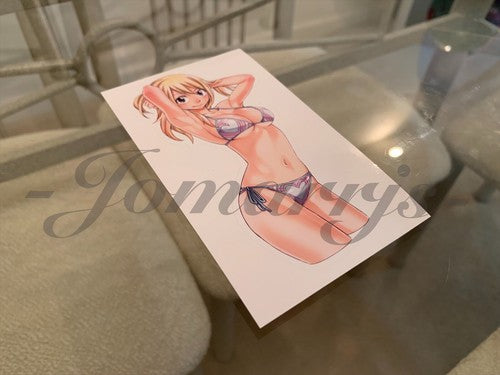 Fairy Tail - Anime - Lucy Heartfilia c. Bikini Sun Fun Sticker Vinyl Decal Sign