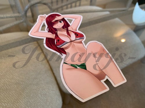 Fairy Tail - Anime - Erza Scarlet a. Bikini Sun Fun Sticker Vinyl Decal Sign