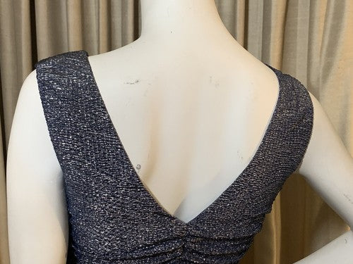 R & M Collection Sleeveless 2 Tone Silver Blue Evening Dress Sz 10 NWT MSRP $120