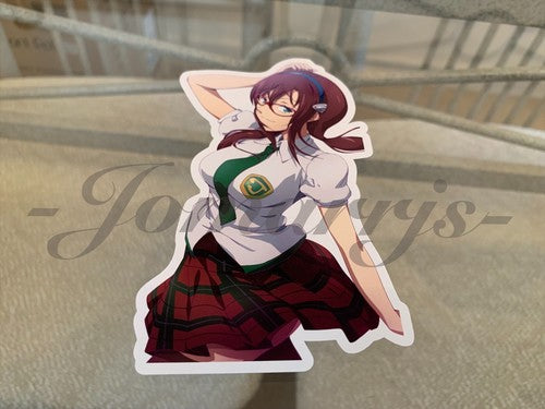 Neon Genesis Evangelion Mari Theory Sticker Decal