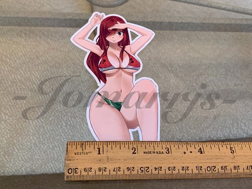 Fairy Tail - Anime - Erza Scarlet a. Bikini Sun Fun Sticker Vinyl Decal Sign