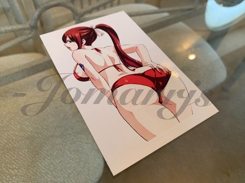 Fairy Tail - Anime - Erza Scarlet f. Bikini Sun Fun Sticker Vinyl Decal Sign