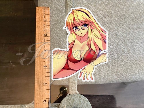 Freezing Anime Satellizer L. Bridget Bikini Sticker Decal manga waifu ecchi 38