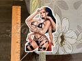 One Piece - Anime - Nico Robin Bikini Sun Fun Sticker Decals Vinyl manga a.