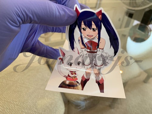 Fairy Tail - Anime - Wendy Marvell & Carla Sticker Vinyl Sign custom