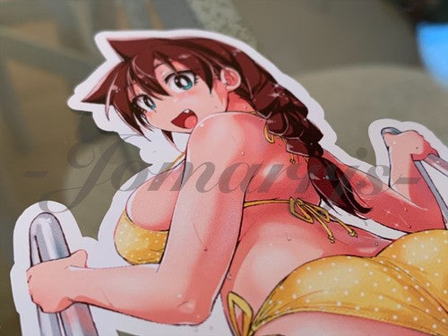 Amano Megumi - Anime - Amano Megumi Bikini Sun Fun Custom Sticker Decal Vinyl #5