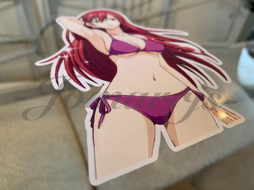 Fairy Tail - Anime - Erza Scarlet c. Bikini Sun Fun Sticker Vinyl Decal Sign