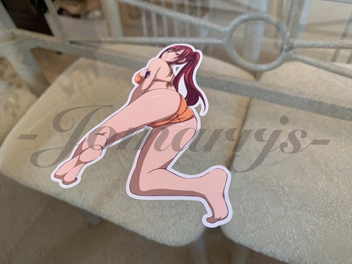 Fairy Tail - Anime - Erza Scarlet d. Bikini Sun Fun Sticker Vinyl Decal Sign