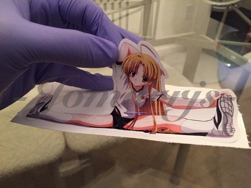 Highschool DxD - Anime - Asia Argento "Stretch" Sticker Decal Vinyl high school