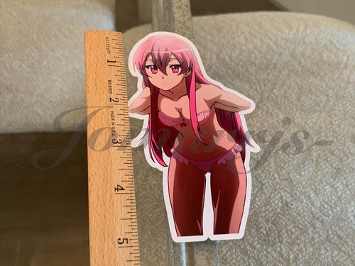 Akame ga Kill! - Anime - Mine Bikini Sun Fun Sticker Decal Vinyl #3 lingerie