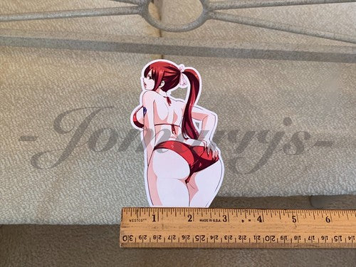 Fairy Tail - Anime - Erza Scarlet f. Bikini Sun Fun Sticker Vinyl Decal Sign