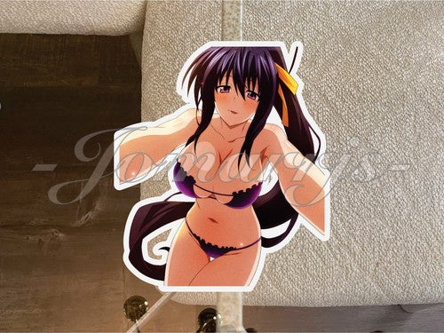 Highschool DxD Anime Akeno Himejima "Selfie" Bikini Sun Fun Sticker Decal #186