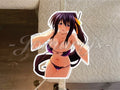 Highschool DxD Anime Akeno Himejima "Selfie" Bikini Sun Fun Sticker Decal #186