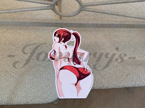 Fairy Tail - Anime - Erza Scarlet f. Bikini Sun Fun Sticker Vinyl Decal Sign