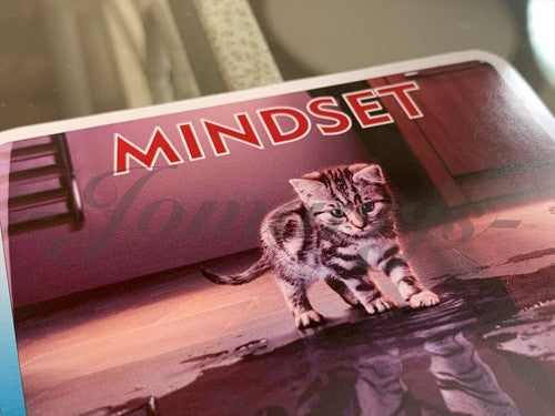Motivational “Mindset Is Everything” Inspiring Tiger Cat Sticker Decal wall art