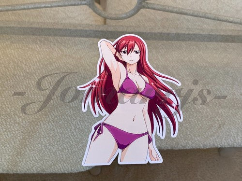 Fairy Tail - Anime - Erza Scarlet c. Bikini Sun Fun Sticker Vinyl Decal Sign