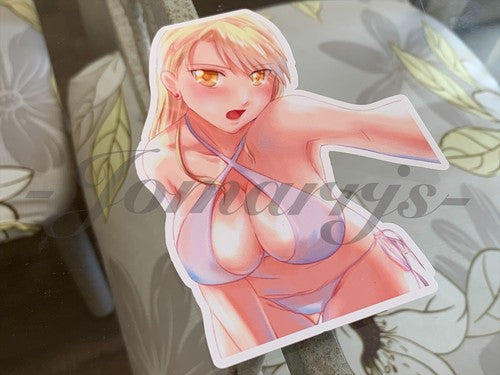 Fullmetal Alchemist - Anime - Riza Hawkeye Selfie Bikini Sun Fun Sticker Decal