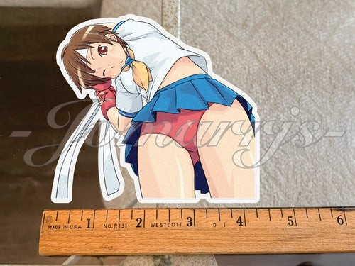 Street Fighter - Anime - Sakura Kasugano Custom Colored Sticker Decal Vinyl #1