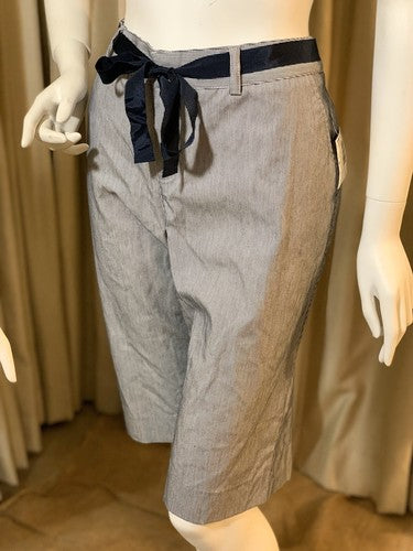 Jaclyn Smith Striped Blue Casual Weekend Walk Shorts Women’s 12 NWT