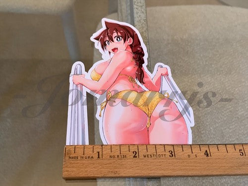 Amano Megumi - Anime - Amano Megumi Bikini Sun Fun Custom Sticker Decal Vinyl #5