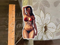 Wonder Woman Anime Princess Diana Bikini  Sticker Decal ecchi oppai waifu art 1