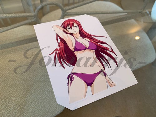 Fairy Tail - Anime - Erza Scarlet c. Bikini Sun Fun Sticker Vinyl Decal Sign