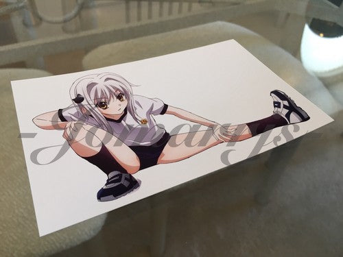 Highschool DxD - Anime - Koneko Toujou "Stretch" Sticker Decal Vinyl high school