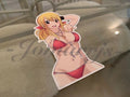 Fairy Tail - Anime - Lucy Heartfilia a. Bikini Sun Fun Sticker Vinyl Decal Sign