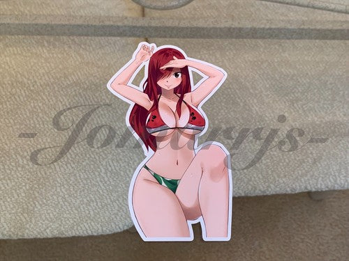 Fairy Tail - Anime - Erza Scarlet a. Bikini Sun Fun Sticker Vinyl Decal Sign