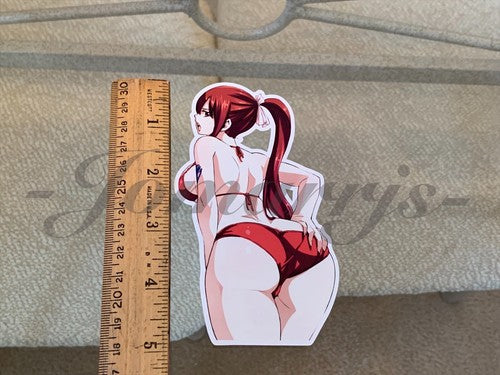Fairy Tail - Anime - Erza Scarlet f. Bikini Sun Fun Sticker Vinyl Decal Sign