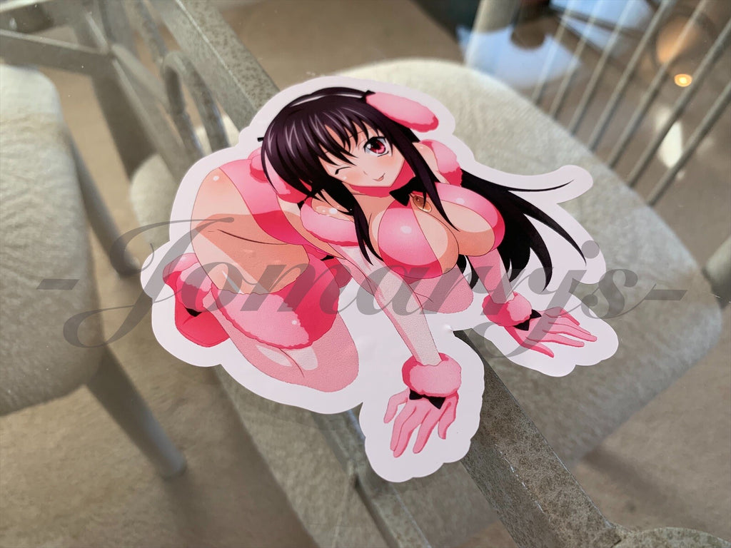 Highschool DxD - Anime -  Raynare Bikini Sun Fun Sticker Decal high school