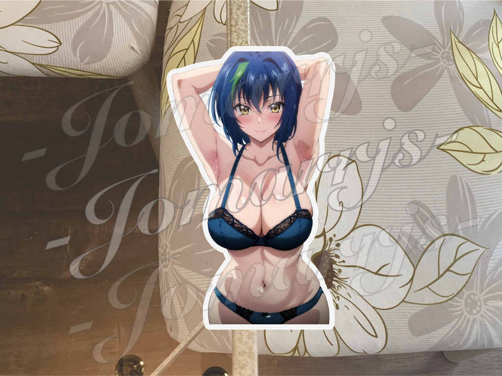 Highschool DxD Anime Xenovia Sticker Vinyl ecchi bikini sun fun lingerie 0001