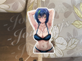 Highschool DxD Anime Xenovia Sticker Vinyl ecchi bikini sun fun lingerie 0001
