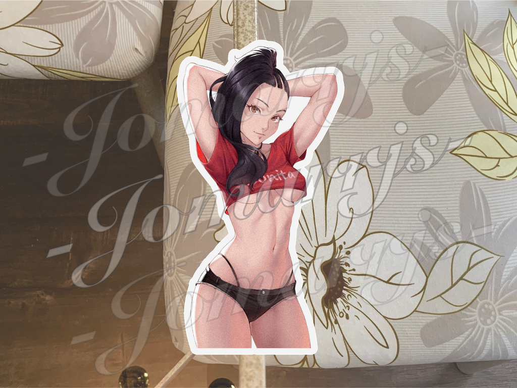 Street Fighter Anime Laura Matsuda 02 Decal Vinyl manga ecchi waifu art car