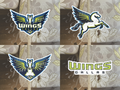 Dallas Wings WNBA Logo Custom Colored Sticker Decal waterproof Sz 2"-18"