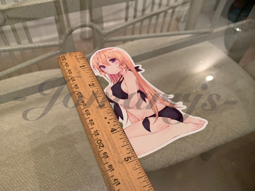 Food Wars! Shokugeki no Soma - Anime - Erina Nakiri Bikini Sun Fun Sticker Decal