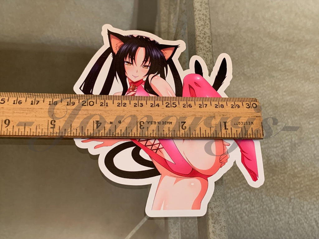 Highschool DxD - Anime Kuroka Toujou Bikini Sun Fun Sticker Decal high school