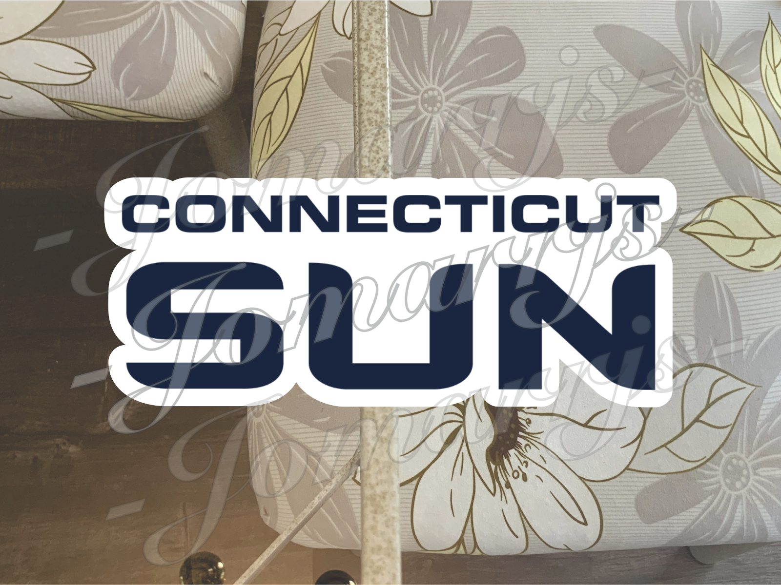 Connecticut Sun WNBA Logo Custom Colored Sticker Decal waterproof Sz 2"-18"