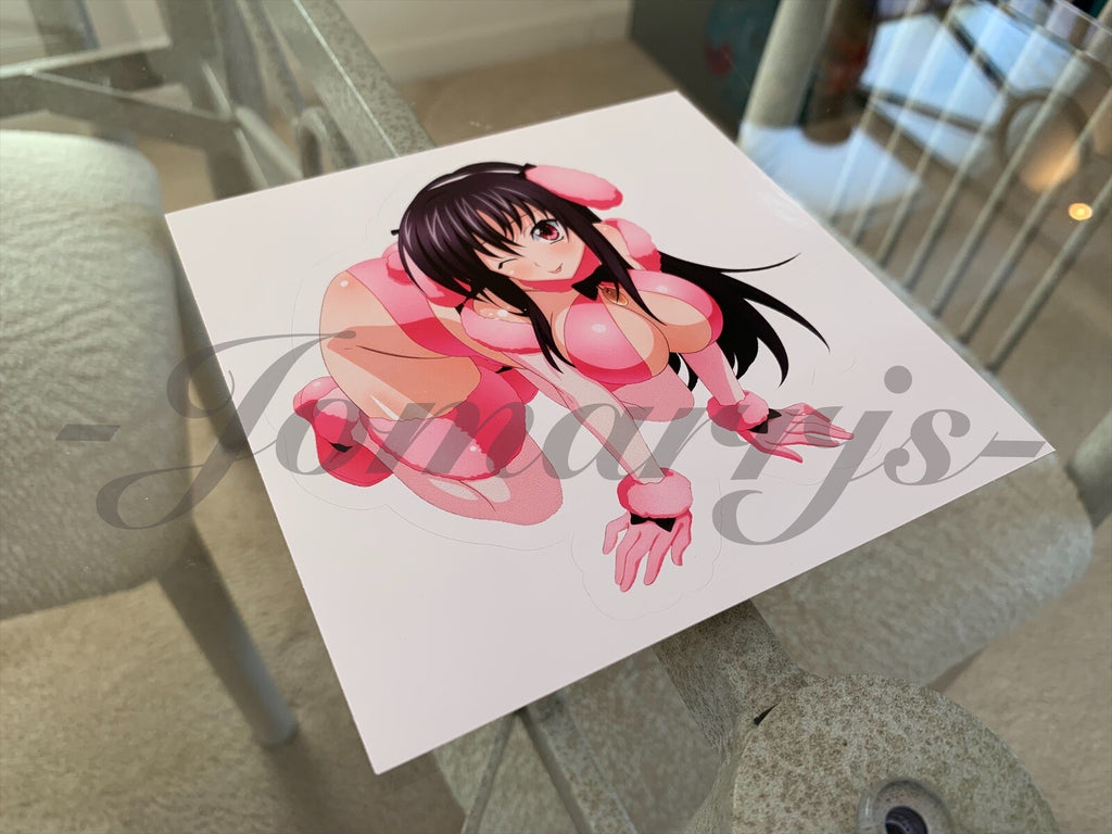 Highschool DxD - Anime -  Raynare Bikini Sun Fun Sticker Decal high school
