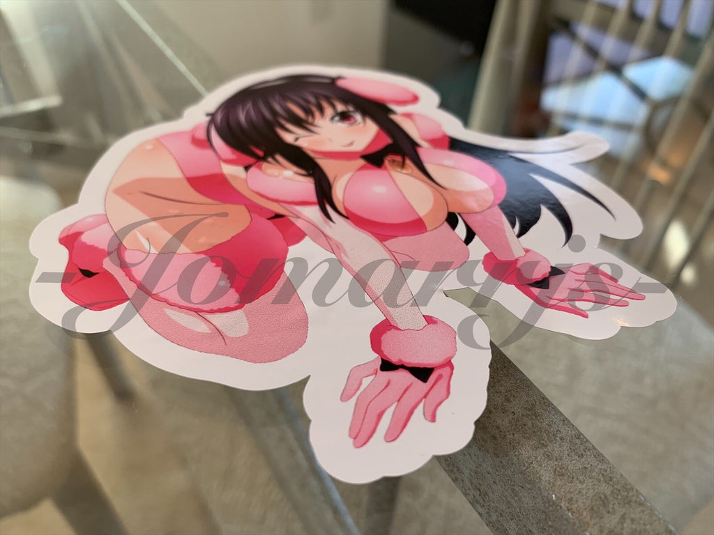Highschool DxD - Anime -  Raynare Bikini Sun Fun Sticker Decal high school