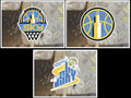Chicago Sky WNBA Logo Custom Colored Sticker Decal waterproof Sz 2"-18"