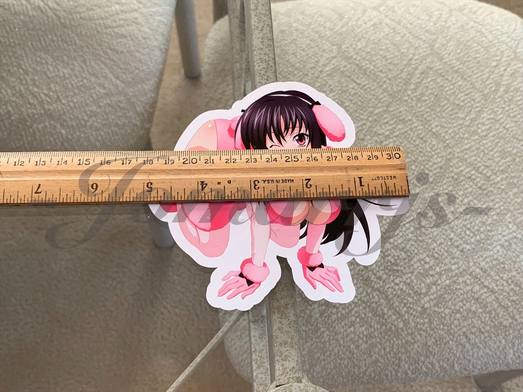 Highschool DxD - Anime -  Raynare Bikini Sun Fun Sticker Decal high school